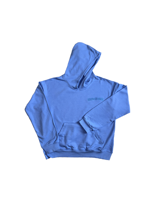 NS4L™ Blue Hoodie